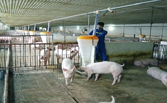 Siba Holdings trở thành cổ đông lớn của Nông nghiệp BaF Việt Nam (BAF)