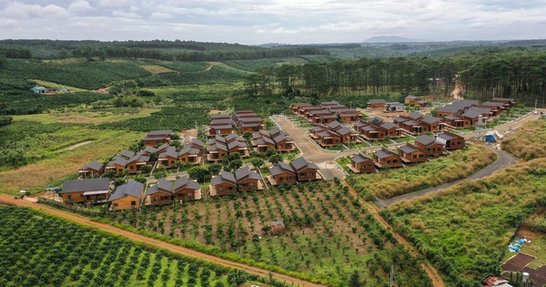 Lâm Đồng Dừng toàn bộ hoạt động đầu tư, xây dựng, tách thửa tại 2 “dự án” Sun Valley và The Tropicana 1