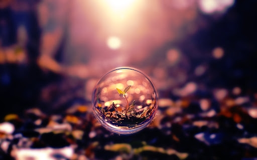 Tử vi 12 cung hoàng đạo tuần từ 101 - 161 Bảo Bình bận rộn công việc Cự Giải cẩn trọng tài chính