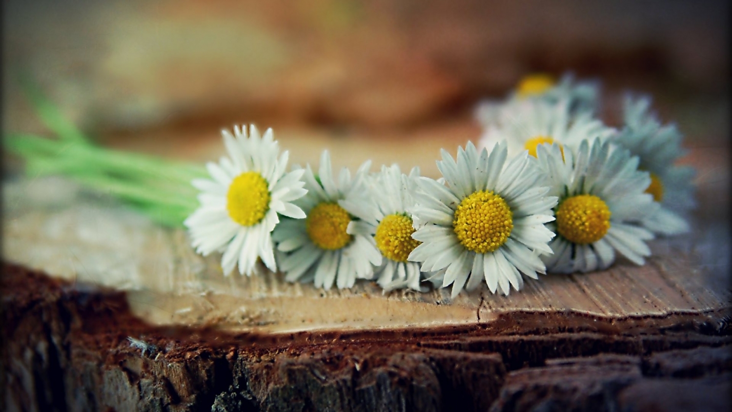 Tử vi 12 cung hoàng đạo ngày 1012022 Thiên Bình cần lưu ý chi tiêu Song Ngư tỏa sáng