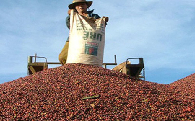 Làm sao để hạn chế xuất khẩu thô