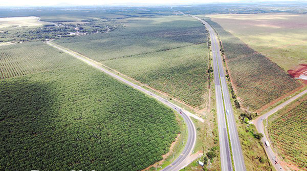 Hơn 6.200 tỷ đồng nâng cấp, mở rộng tuyến đường kết nối sân bay Long Thành