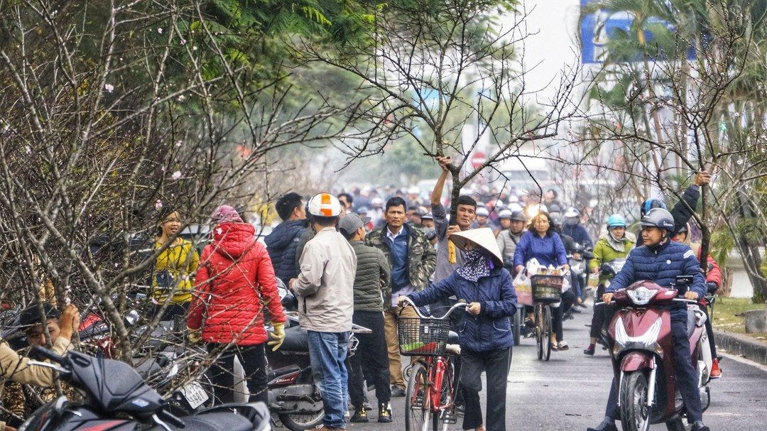 Hải Phòng Tổ chức 18 điểm Chợ hoa Xuân 2022