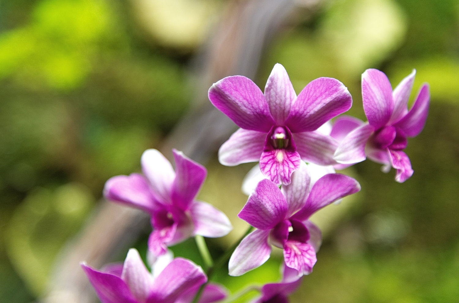 Tử vi 12 cung hoàng đạo ngày 2212022 Bạch Dương cơ hội kiếm tiền Bọ Cạp cảm xúc thăng hoa