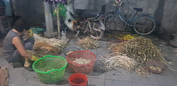 Phát hiện 8 tấn ngó sen ngâm phụ gia hóa chất không rõ nguồn gốc