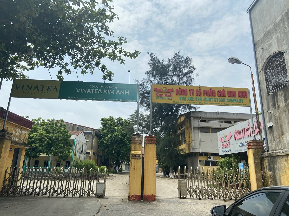 Tổng công ty Chè Việt Nam bị tố vi phạm quyền sở hữu trí tuệ thương hiệu chè Kim Anh
