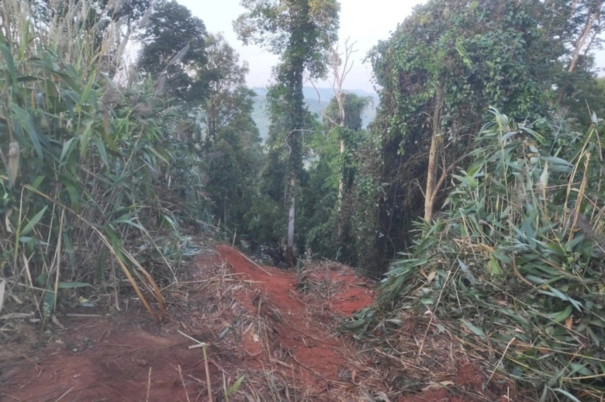 Vụ xe tải chở mì lao xuống vực sâu khiến 6 người tử vong Bộ Công an chỉ đạo gì