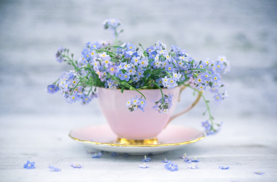 Tử vi 12 cung hoàng đạo ngày 1122022 Song Tử thăng hoa tình cảm Xử Nữ tiến triển công việc