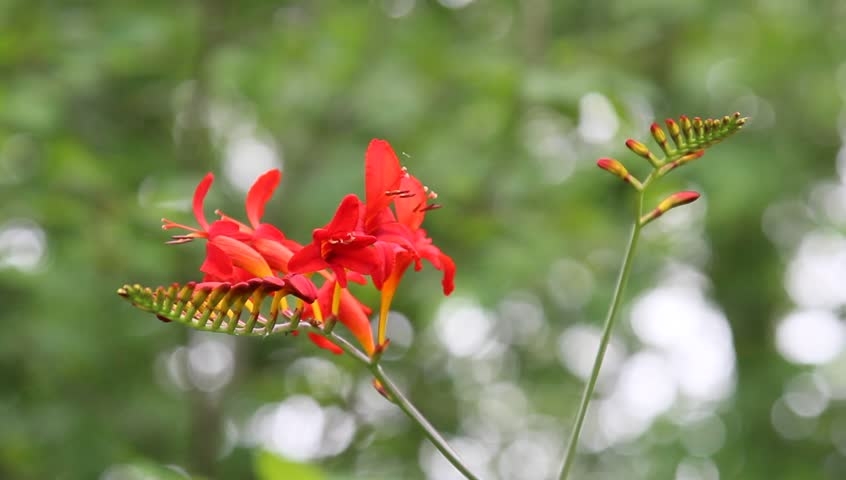 Tử vi ngày 1222022 Tuổi Ngọ xoay chuyển cuộc sống tuổi Sửu không khỏi lao đao