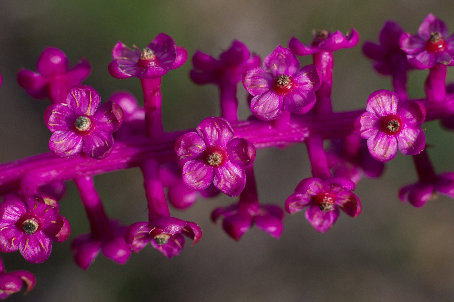 Tử vi ngày 1322022 Tuổi Sửu tình duyên như ý tuổi Mùi cơ hội làm ăn