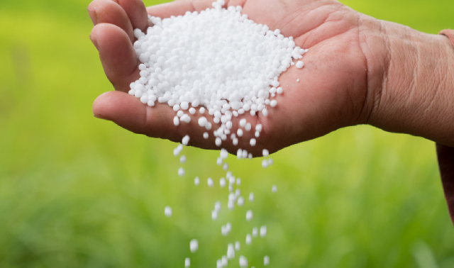 7 loại phân bón đều tăng giá, chỉ có ure giảm 8 USDtấn