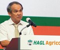 Ngân hàng tiếp tục bán thêm 25.4 triệu cp HNG của HAG để thu hồi nợ 