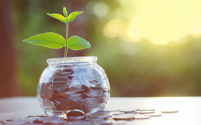 Lịch chốt quyền nhận cổ tức bằng tiền của các doanh nghiệp từ 142 - 282