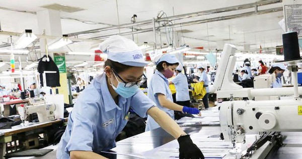 Vinatex (VGT) chi 250 tỷ đồng tạm ứng cổ tức năm 2021