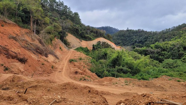 Yêu cầu dừng thi công đường Trường Sơn Đông qua Vườn quốc gia Bidoup – Núi Bà