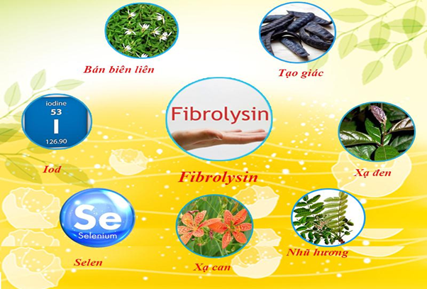 Fibrolysin - Hy vọng mới giúp giảm khó thở, mệt mỏi, ho kéo dài và phục hồi xơ phổi
