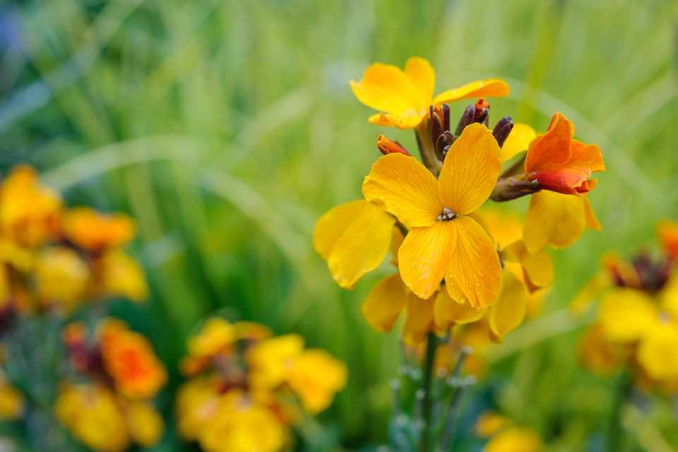 Tử vi ngày 2022022 Tuổi Tý tình duyên tươi sáng tuổi Sửu thu nhập ổn định