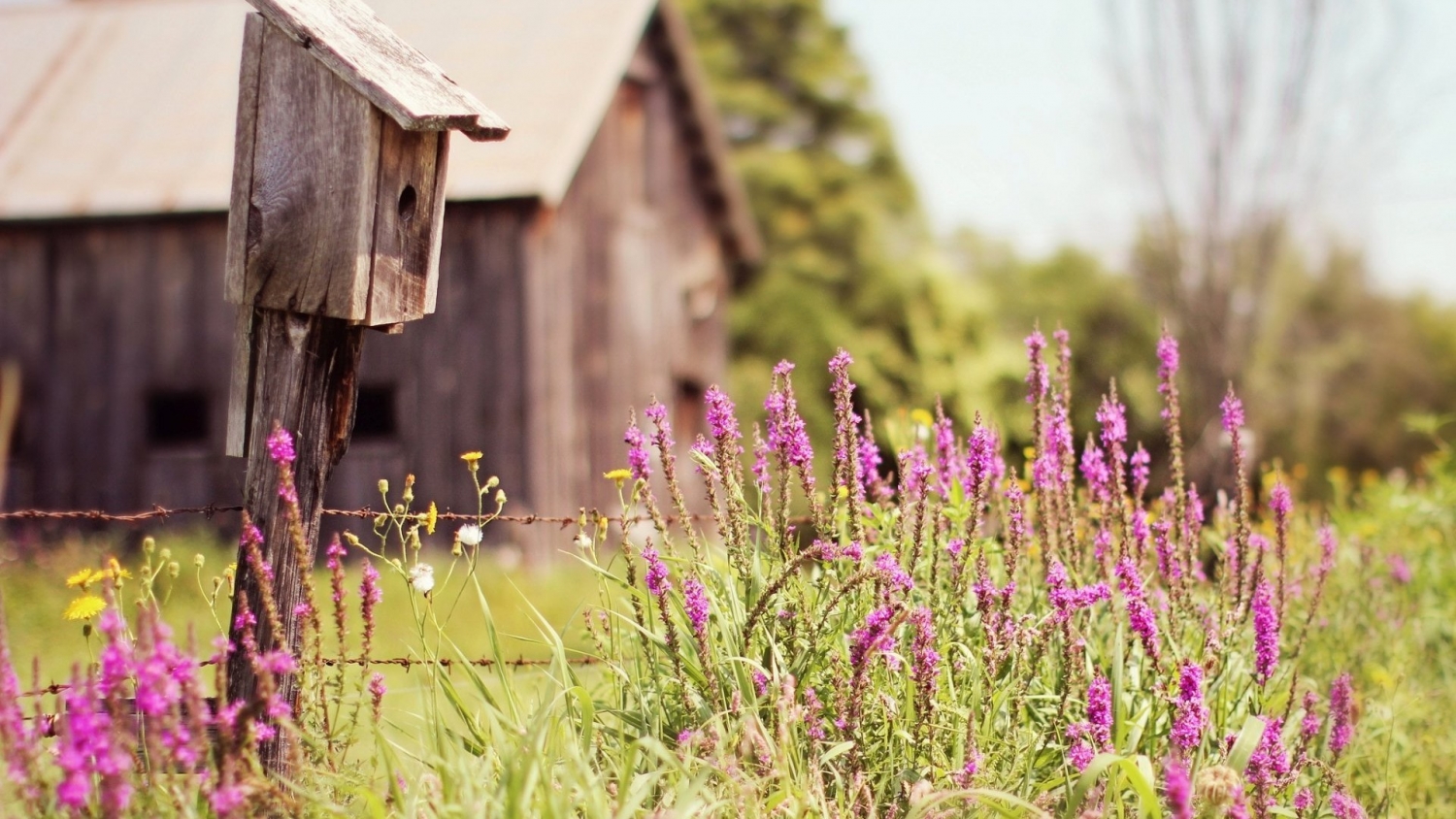 Tử vi 12 cung hoàng đạo ngày 2322022 Nhân Mã lạc quan Sư Tử không nên quá lo lắng