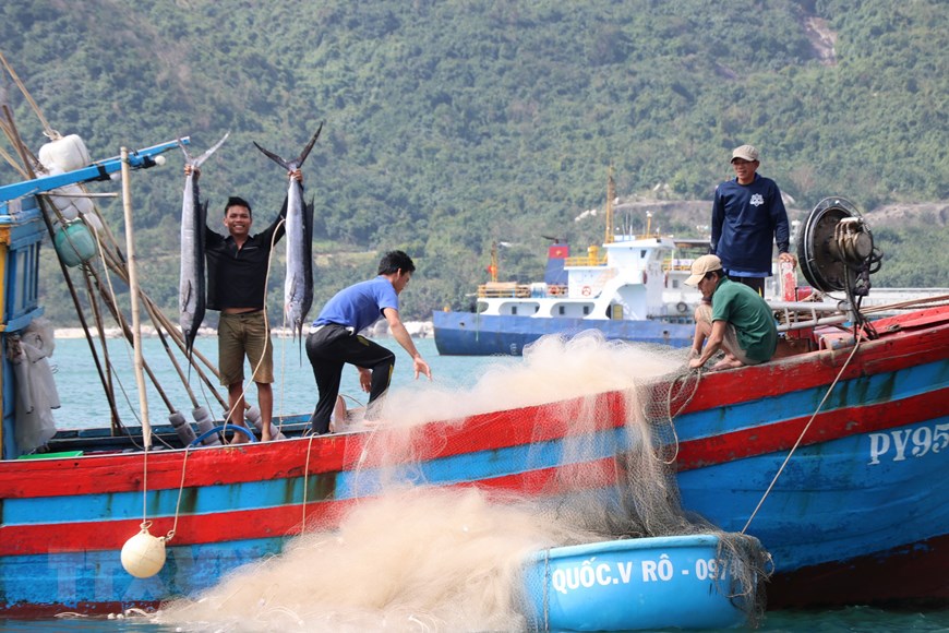 Những hình ảnh đẹp khó cưỡng dọc bờ biển Phú Yên