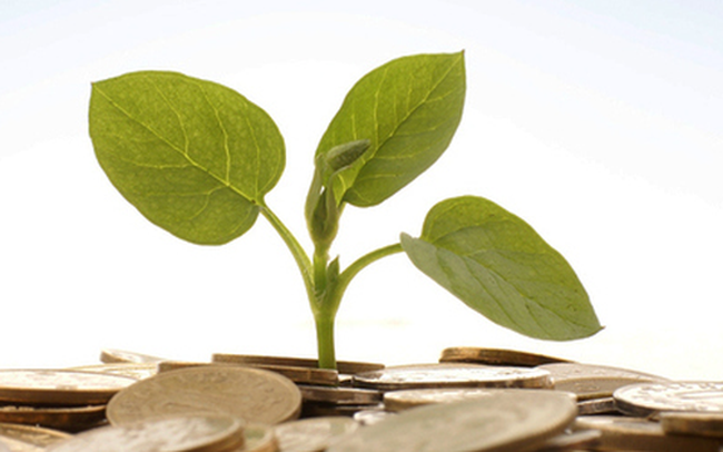 Lịch chốt quyền nhận cổ tức bằng tiền của các doanh nghiệp từ 282- 43