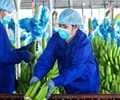 HNG báo lỗ thêm hơn 1.100 tỷ đồng trong năm 2021 