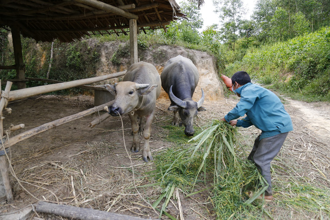 Thay đổi phương thức hỗ trợ người nghèo