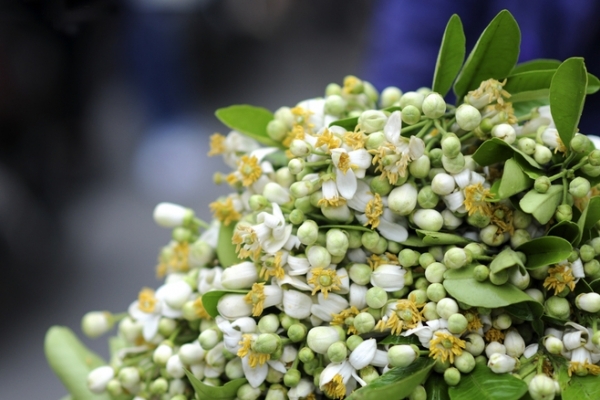 Tử vi 12 cung hoàng đạo ngày 532022 Nhân Mã hãy chia sẻ cảm xúc khi bạn thấy phiền lòng