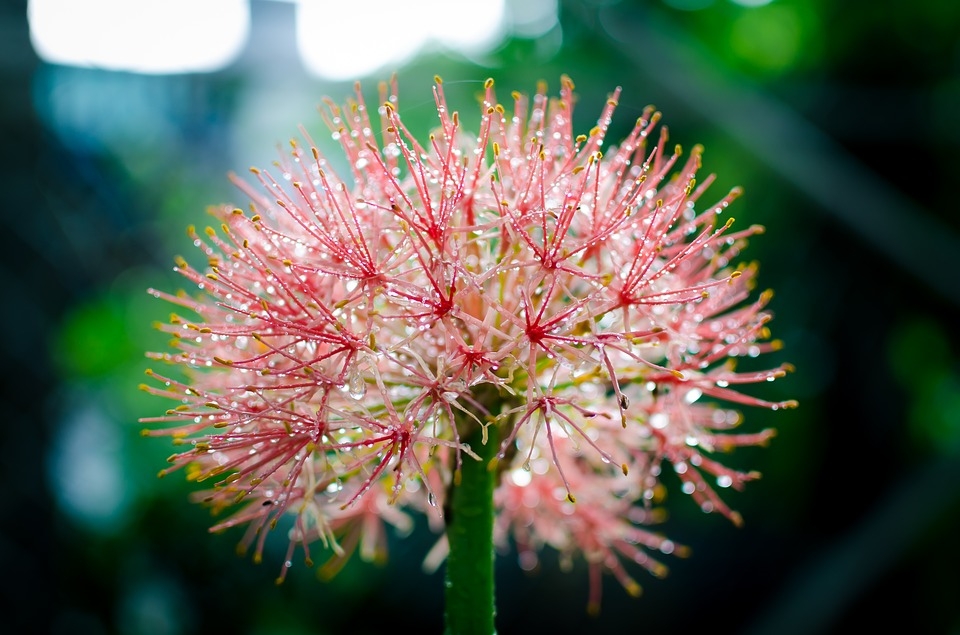 Tử vi 12 cung hoàng đạo ngày 732022 Sư Tử gia tăng thu nhập Bạch Dương cải thiện vận may