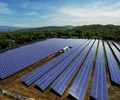 Dự án điện mặt trời điện gió tăng chóng mặt Bộ Công thương yêu cầu rà soát lại quy hoạch