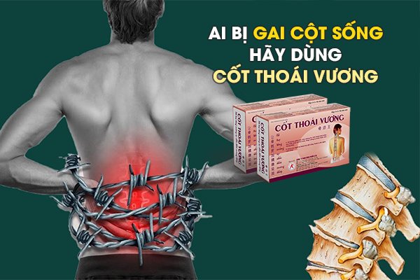 Cốt Thoái Vương - Giải pháp hữu hiệu hỗ trợ cho người bị gai cột sống