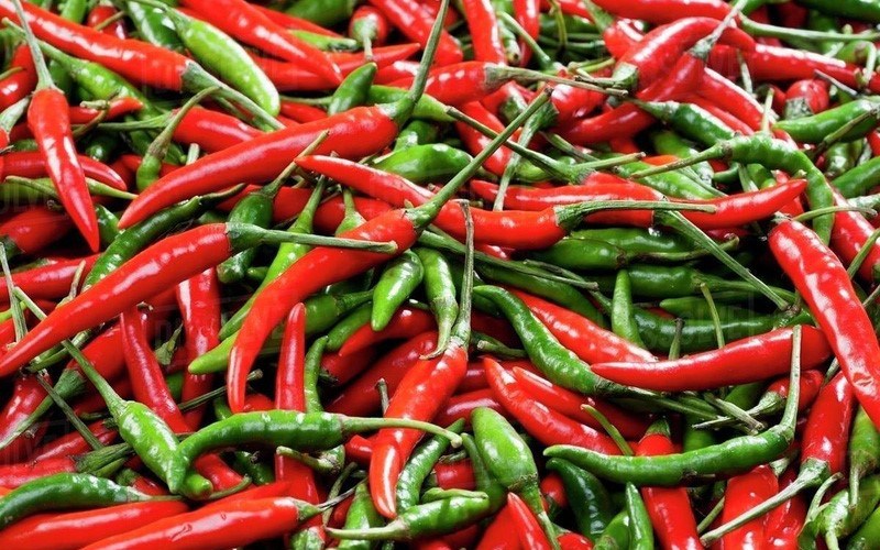 Doanh nghiệp cần phải đảm bảo yêu cầu gì đề xuất khẩu ớt tươi sang Trung Quốc