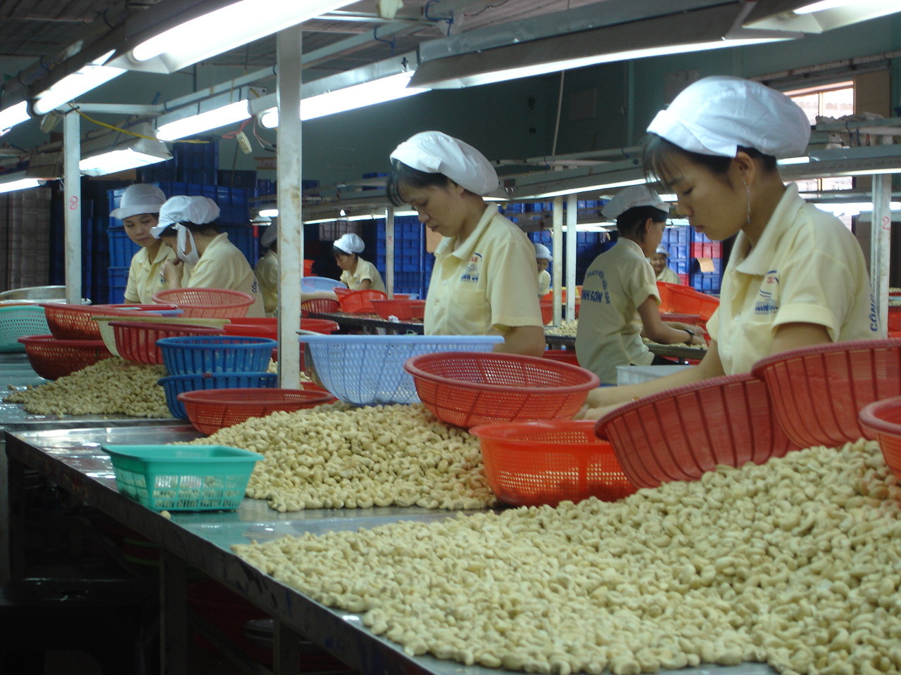  Vụ 100 container điều xuất sang Italia có dấu hiện lừa đảo Vinacas đính chính thông tin