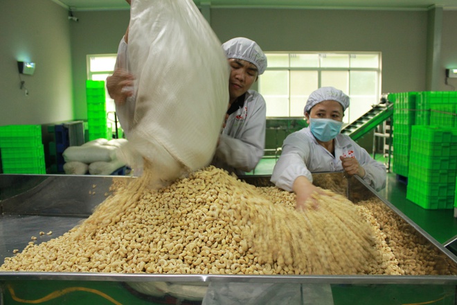 Vụ container điều xuất khẩu sang Ý Công ty môi giới Kim Hạnh Việt nói gì 