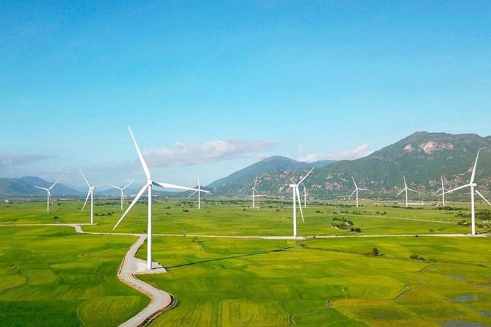 Hòa mình vào khung cảnh tuyệt đẹp của cánh đồng quạt gió Đầm Nại - Ninh  Thuận