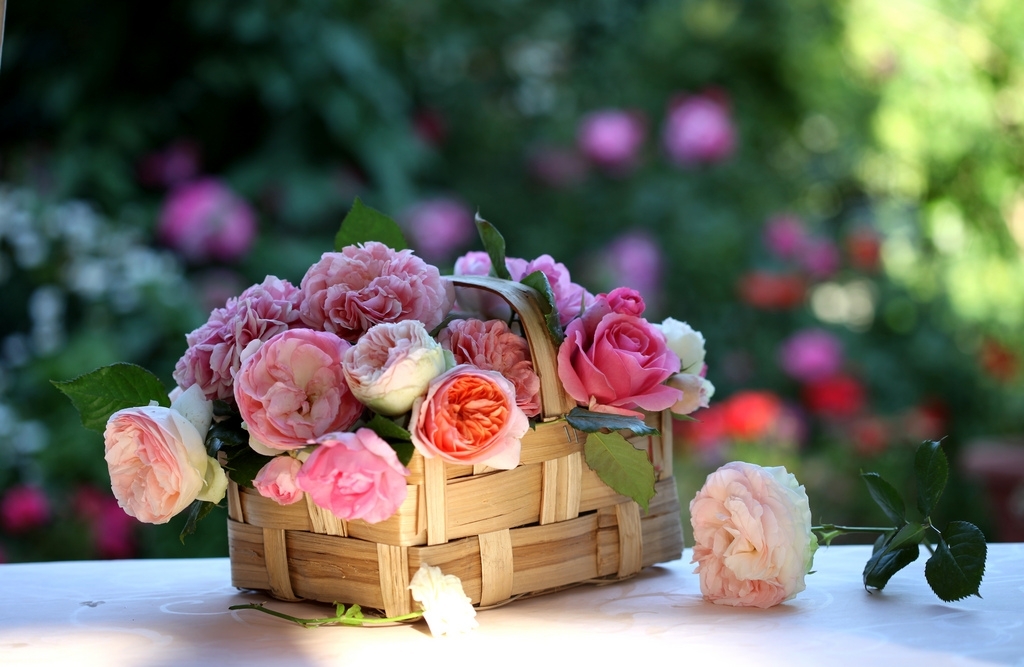 Tử vi ngày 1732022 Tuổi Tý may mắn tài lộc tuổi Thân phát huy điểm mạnh