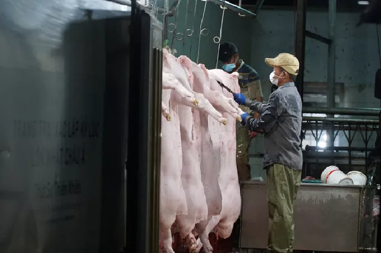 Xả thải vượt quy chuẩn cho phép, một doanh nghiệp ở Đà Nẵng bị phạt hơn 180 triệu đồng