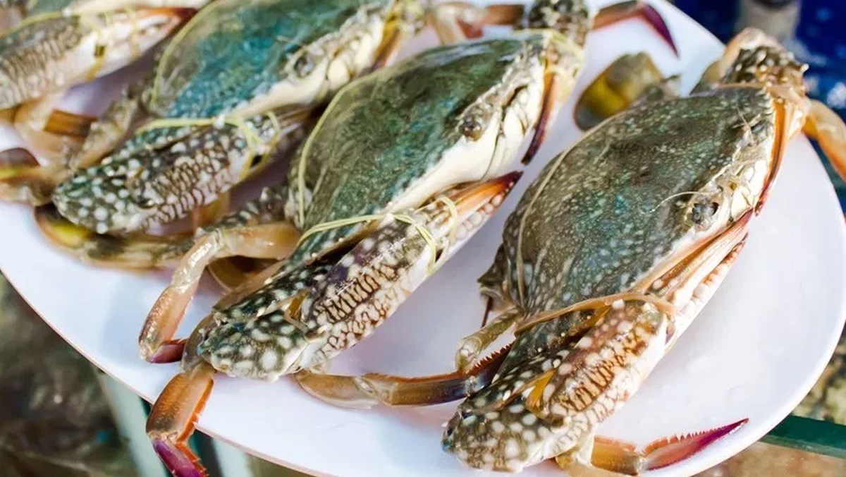 Nhiều mặt hàng thuỷ sản xuất khẩu sang Trung Quốc tăng mạnh