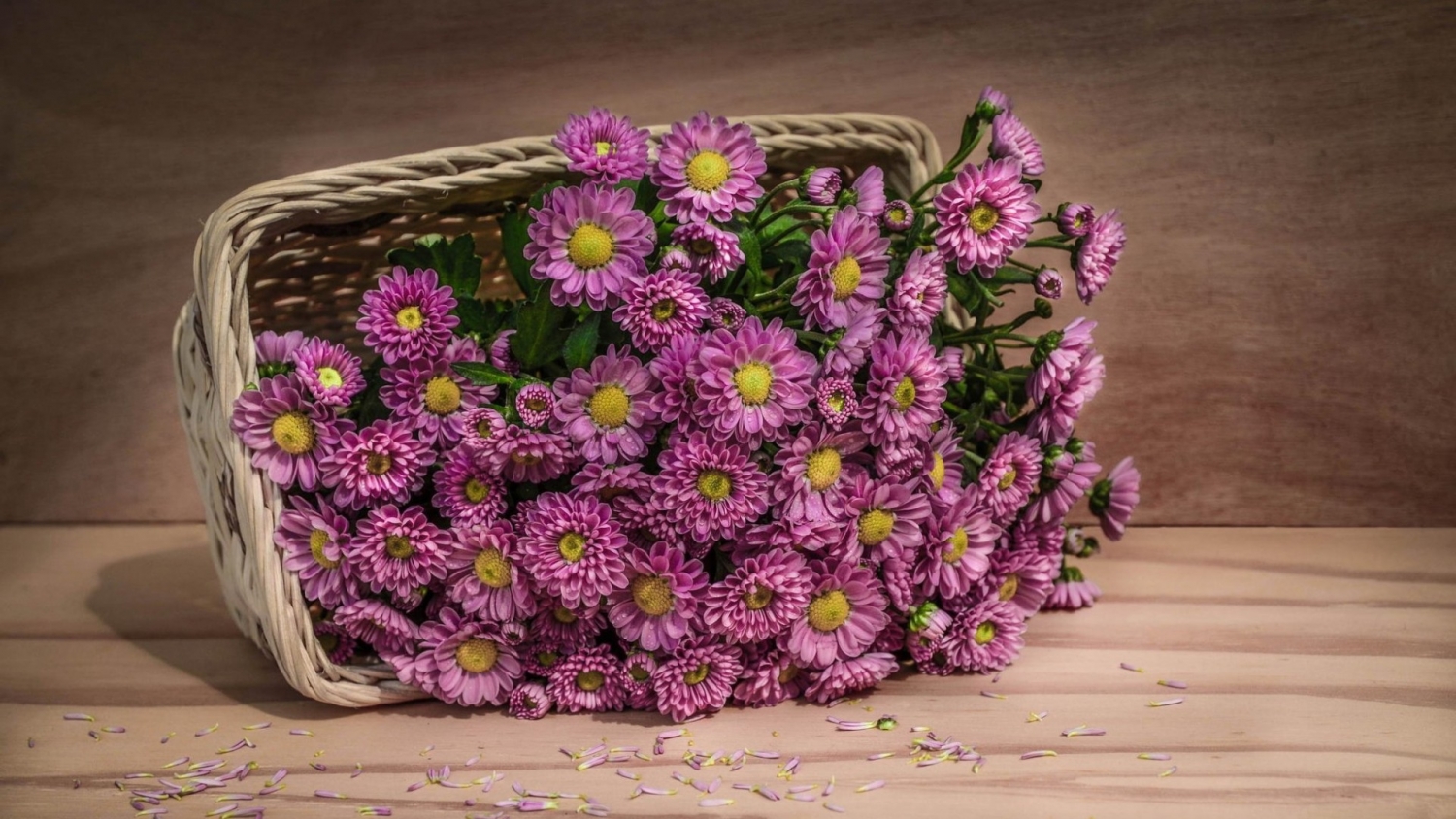 Tử vi 12 cung hoàng đạo ngày 2132022 Ma Kết rắc rối tình cảm Xử Nữ chăm chỉ