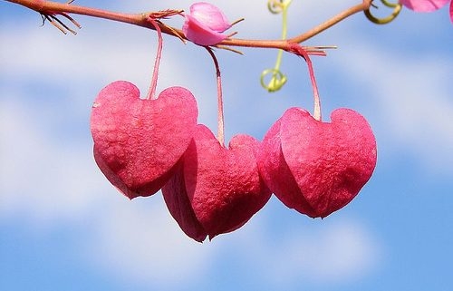 Tử vi 12 cung hoàng đạo ngày 2532022 Song Ngư cần dũng cảm để đối diện và vượt qua khó khăn