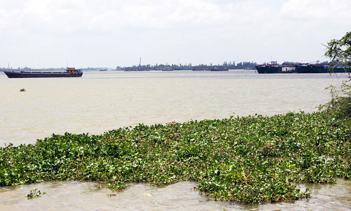 Hủy kết quả đấu giá mỏ cát 2.811 tỷ đồng trên sông Tiền