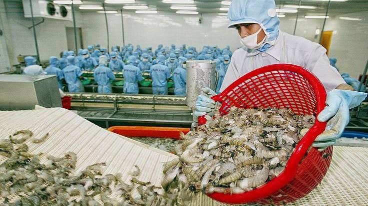 52 lô hàng thủy sản xuất khẩu sang Trung Quốc của 36 doanh nghiệp Việt bị cảnh báo, trả về