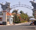 Bà Rịa – Vũng Tàu Công ty Liên Doanh Vũng Tàu Paradise bị phong toả tài khoản vì nợ thuế  