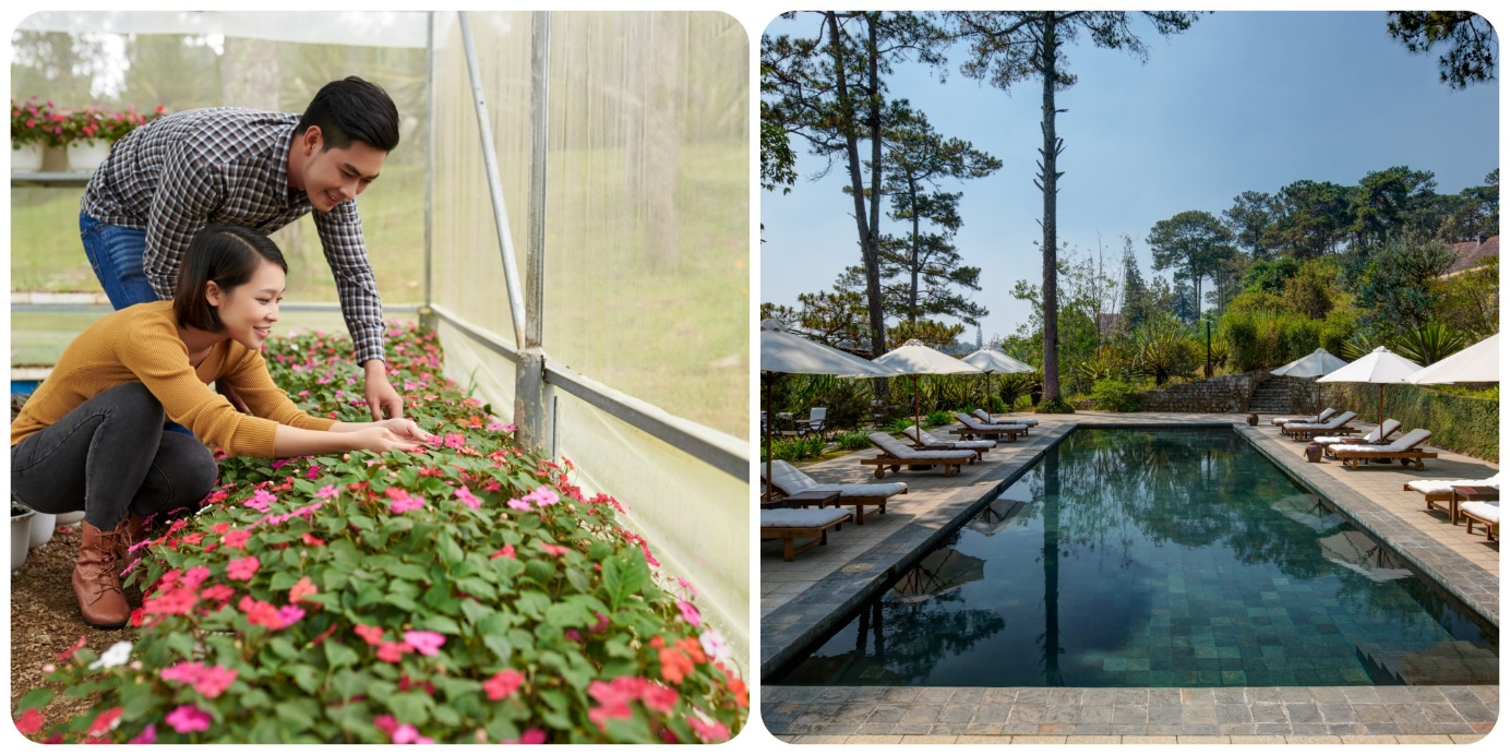 Đà Lạt vào top 3 điểm đến ngắm hoa đẹp nhất thế giới