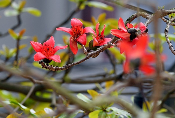 Tử vi 12 cung hoàng đạo tháng 42022 Xử Nữ chi tiêu quá đà Bọ Cạp khởi sắc tình cảm