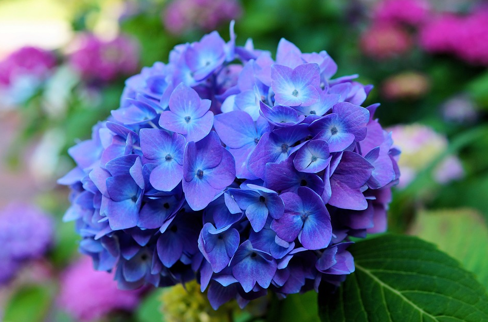 Tử vi 12 cung hoàng đạo ngày 242022 Bạch Dương dư dả túi tiền Thiên Bình do dự