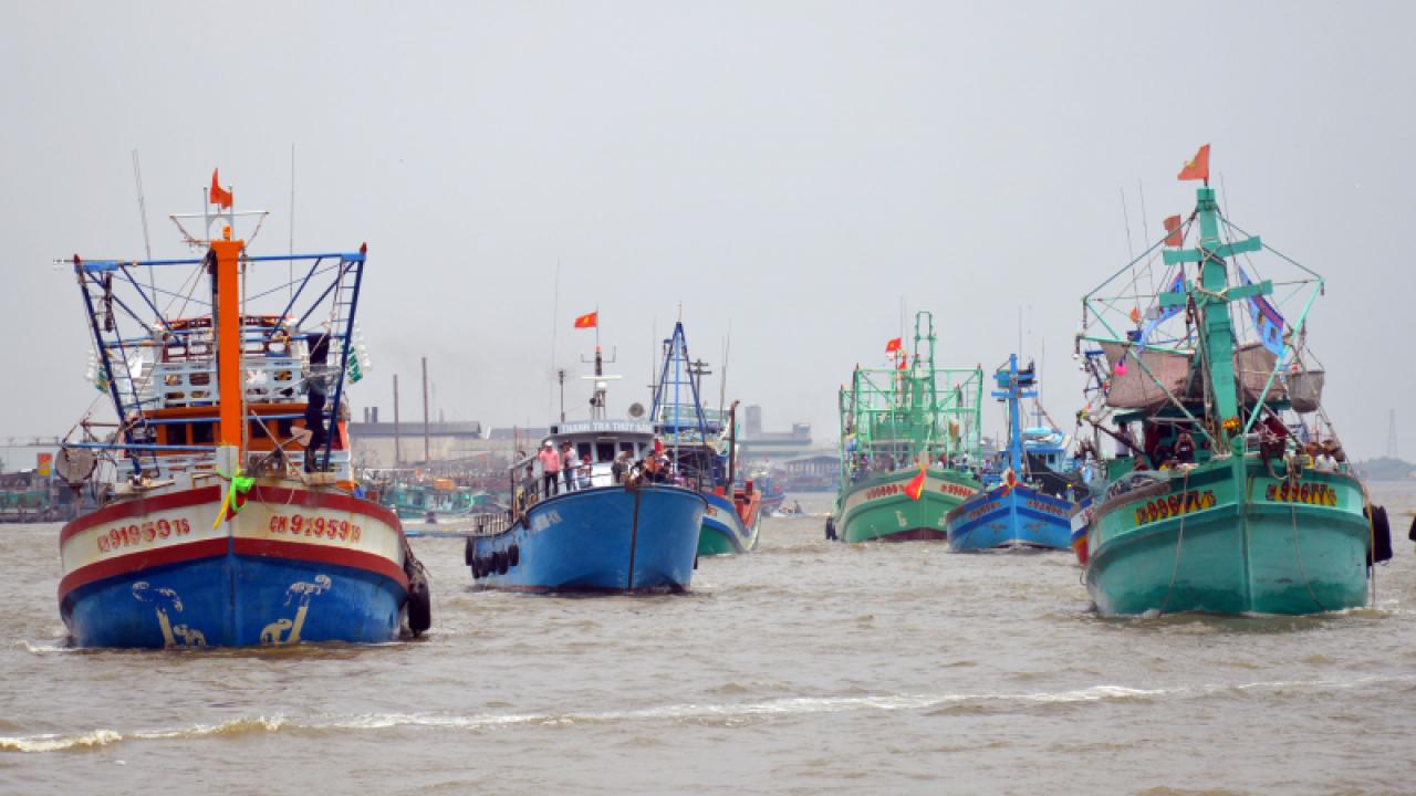 Cà Mau nghiêm cấm tàu cá chở khách du lịch dưới mọi hình thức