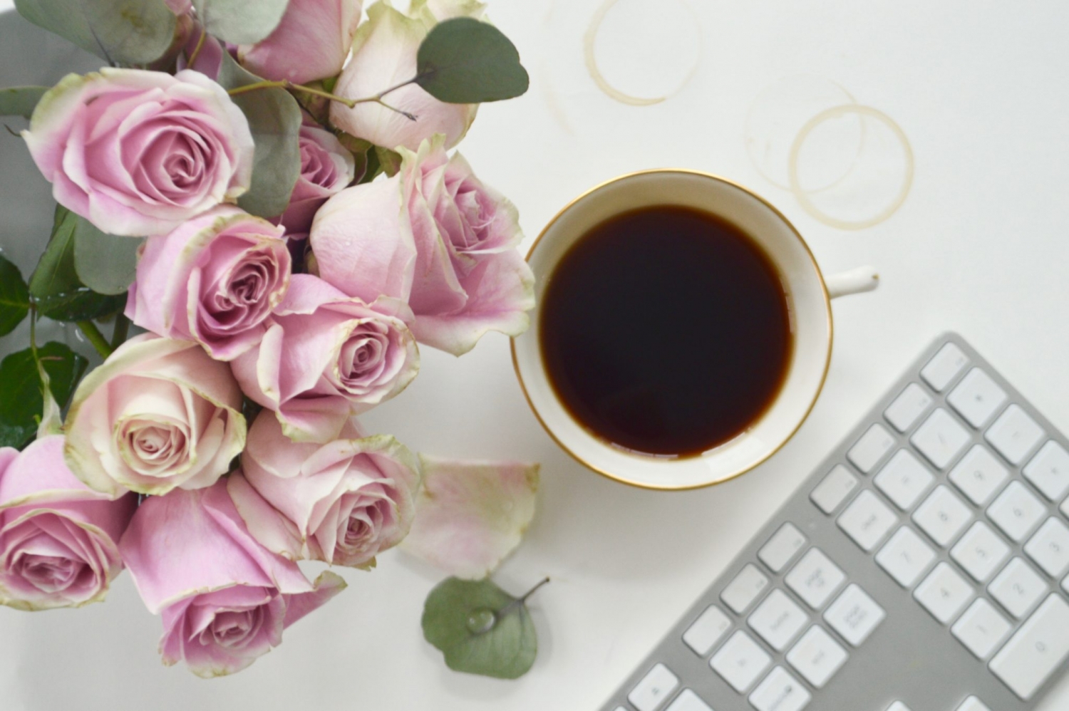 Tử vi 12 cung hoàng đạo ngày 742022 Kim Ngưu tiếp cận được mối đầu tư triển vọng 