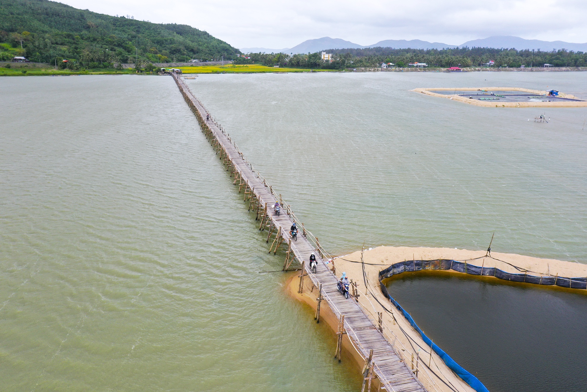 Khám phá cầu gỗ Ông Cọp - Điểm check in đẹp quên lối về tại Phú Yên