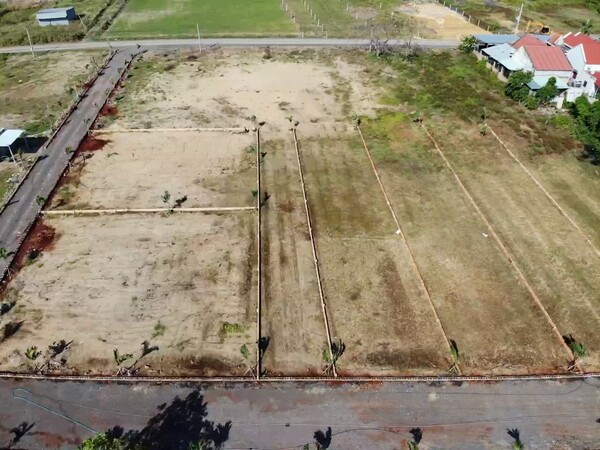 Bà Rịa - Vũng Tàu Kiểm tra, xử lý nghiêm các trường hợp “tự vẽ” đường rồi phân lô bán nền  trên đất nông nghiệp