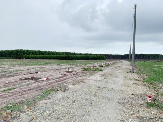 Bà Rịa - Vũng Tàu Chấn chỉnh hoạt động thị trường trái phiếu doanh nghiệp và đấu giá quyền sử dụng đất